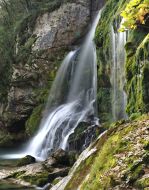 TMoser (5)